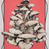 Hongos 35x50 - Image 2
